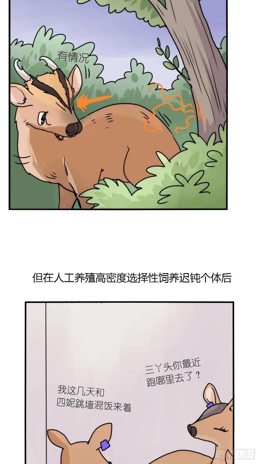 进化之基事业篇II：一堂种群恢复课03