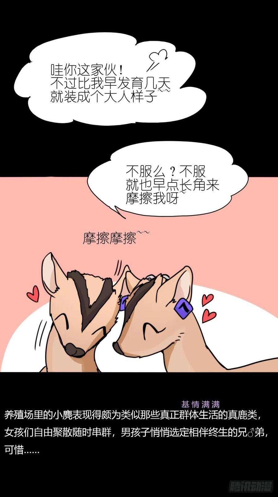 进化之基事业篇II：一堂种群恢复课03