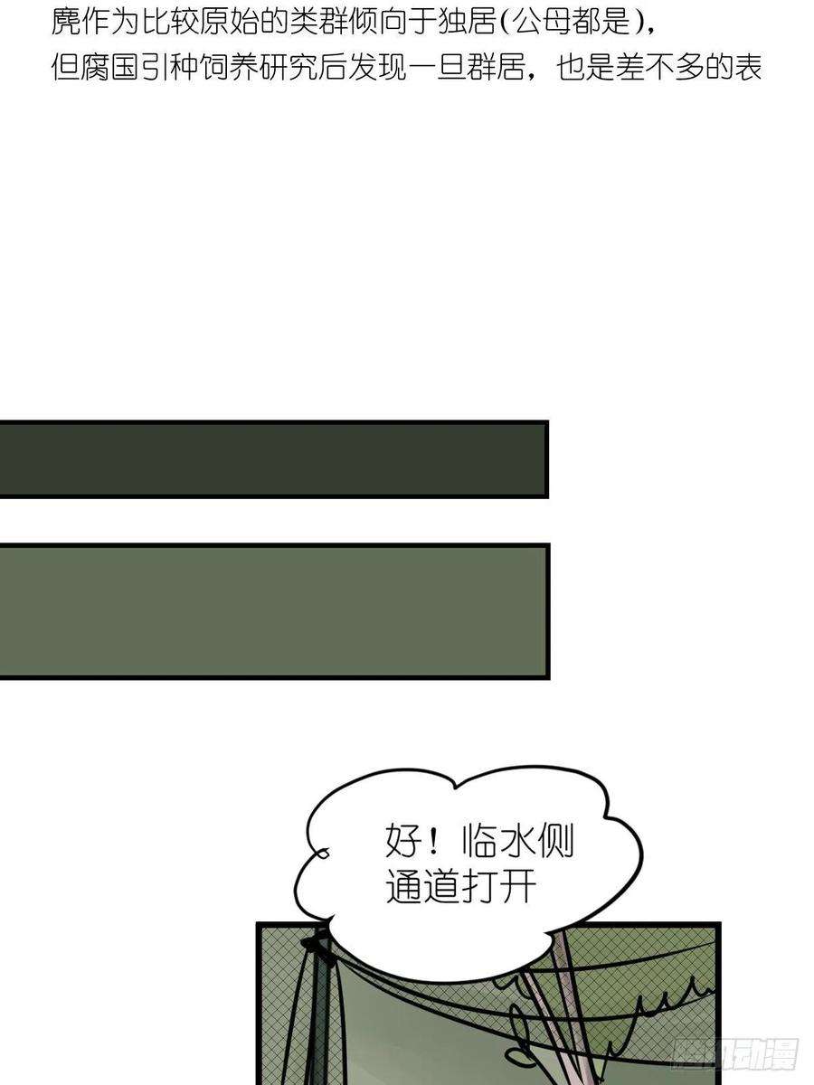 进化之基事业篇II：一堂种群恢复课05