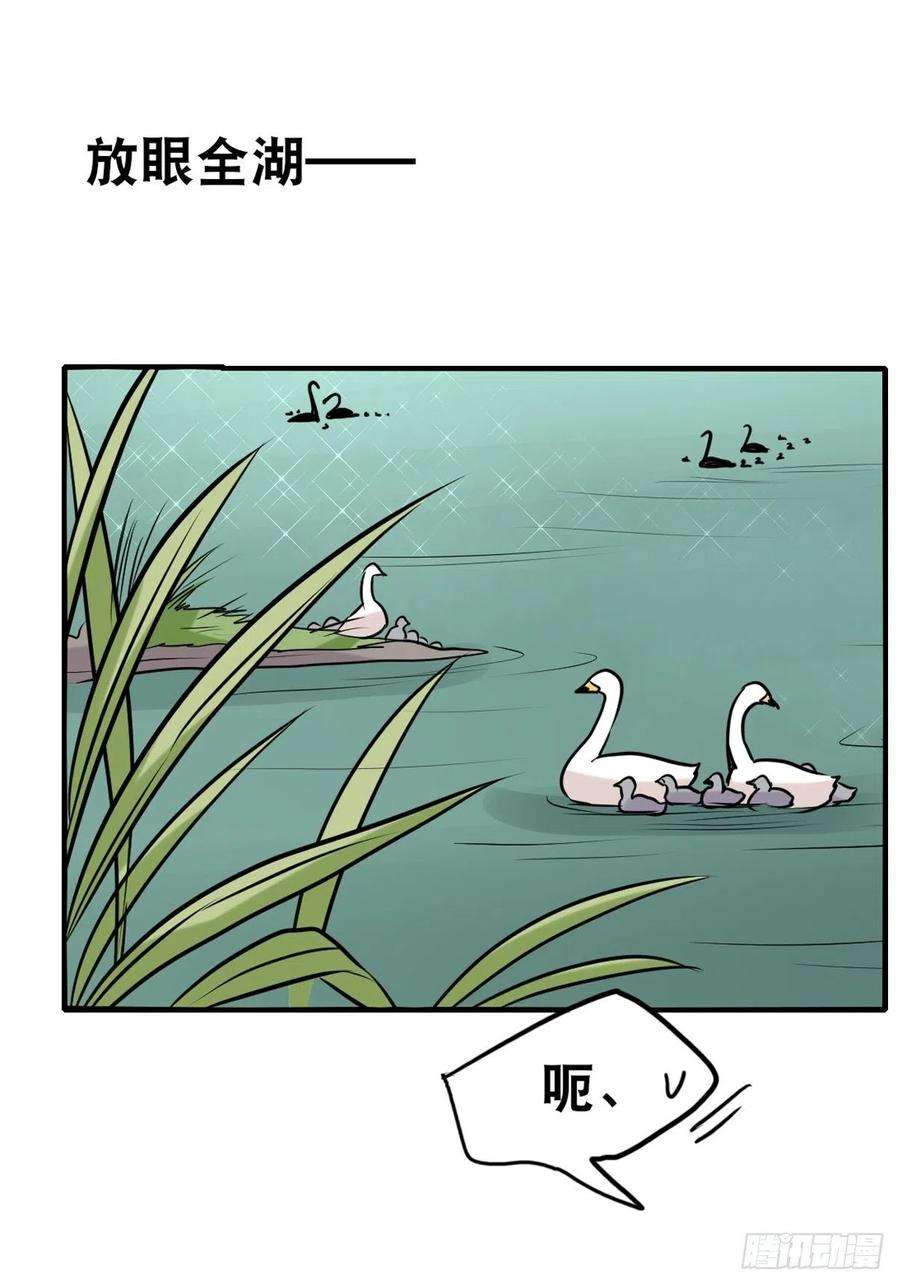进化之基事业篇II：一堂种群恢复课05