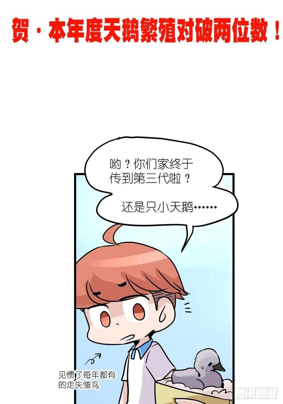 进化之基事业篇II：一堂种群恢复课05