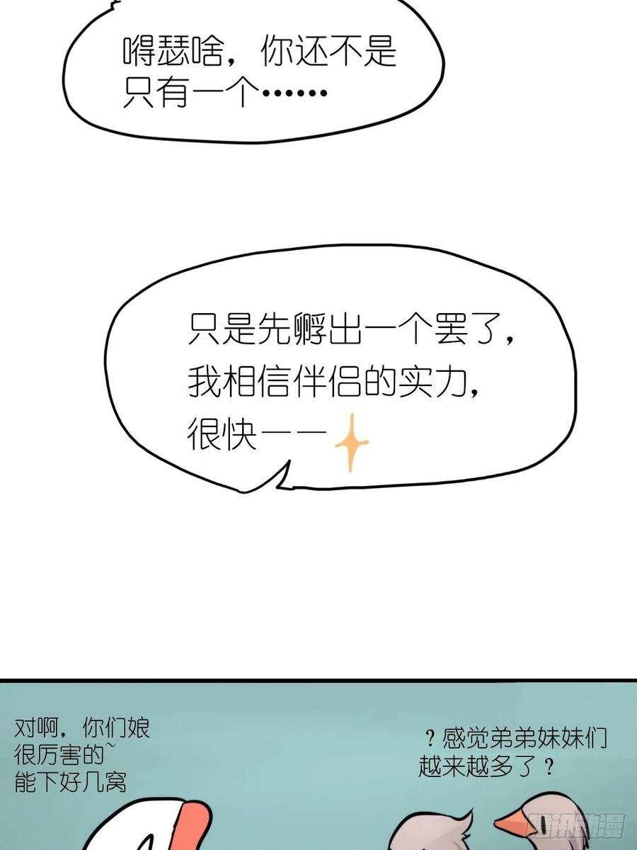 进化之基事业篇II：一堂种群恢复课07