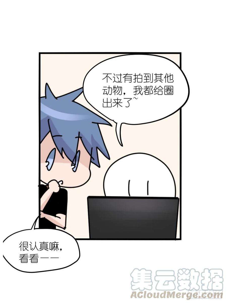 进化之基事业篇II：一堂种群恢复课07