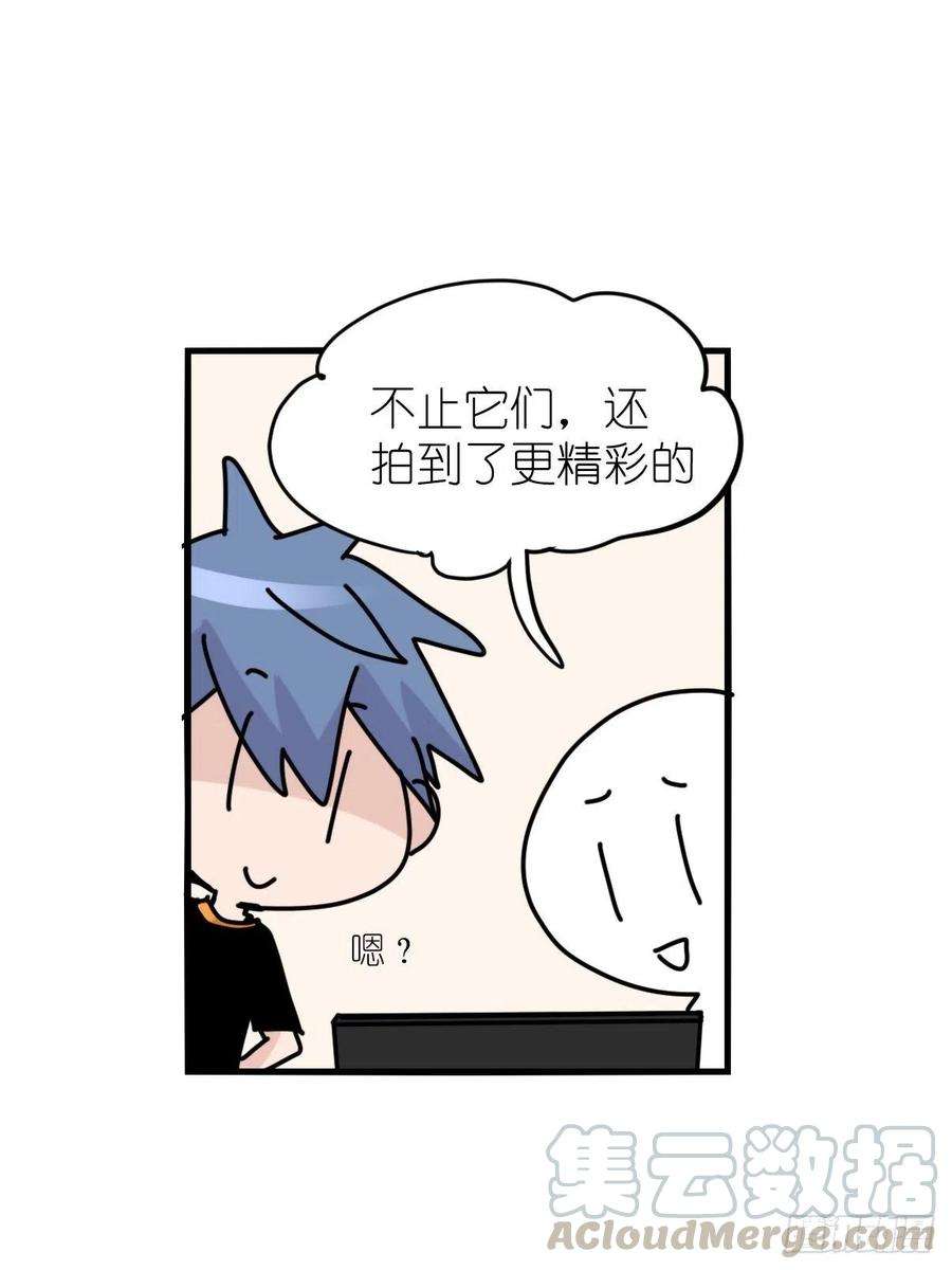 进化之基事业篇II：一堂种群恢复课07