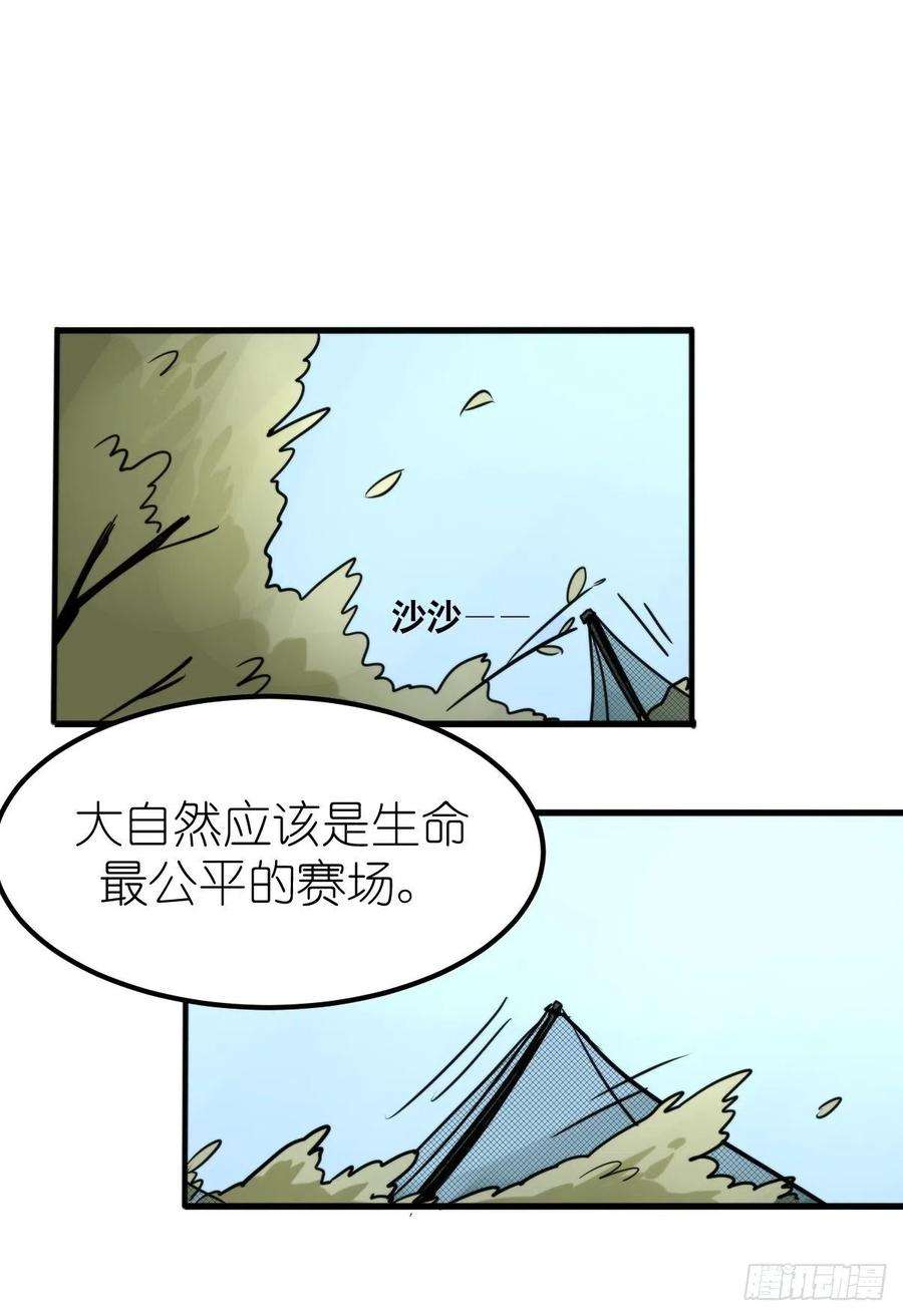 进化之基事业篇II：一堂种群恢复课07