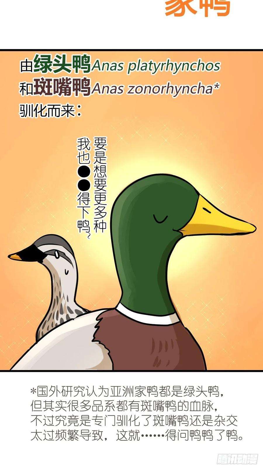 进化之基事业篇II：鸭鸭的奇妙冒险·上