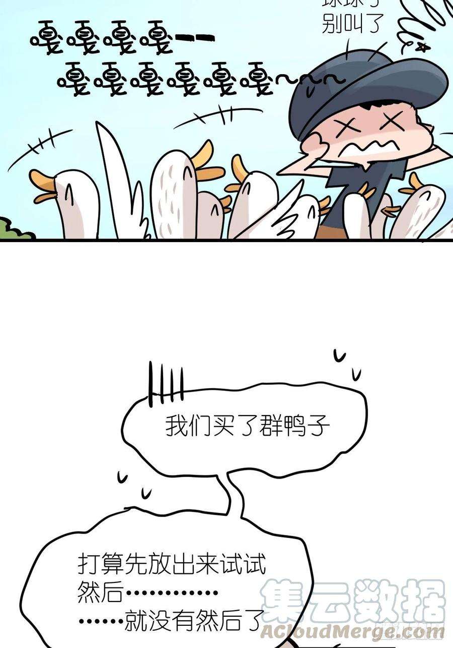 进化之基事业篇II：鸭鸭的奇妙冒险·上