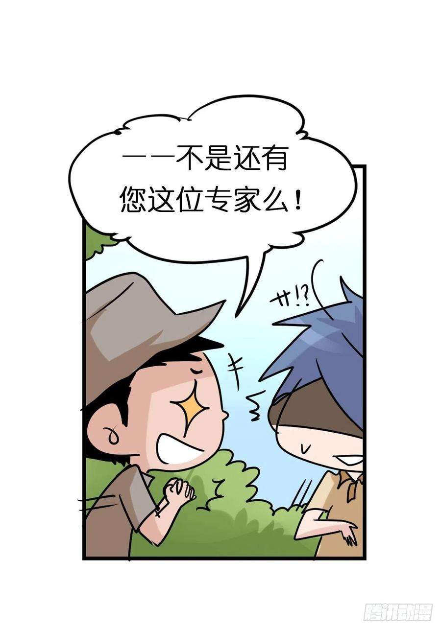 进化之基事业篇II：鸭鸭的奇妙冒险·上