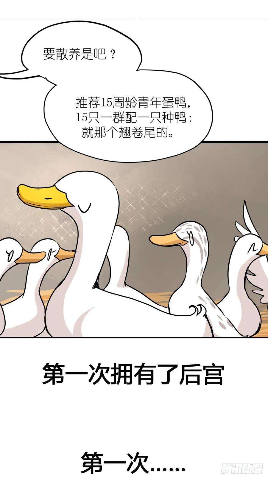 进化之基事业篇II：鸭鸭的奇妙冒险·中