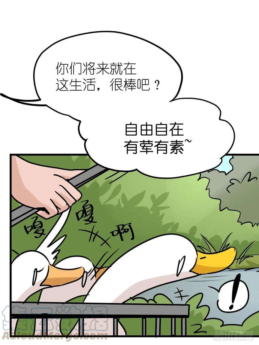 进化之基事业篇II：鸭鸭的奇妙冒险·中
