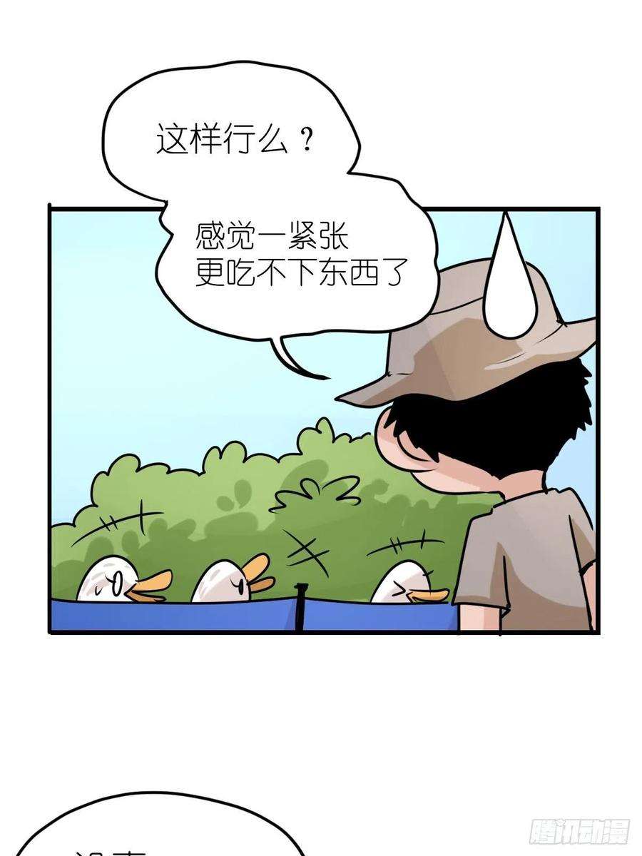 进化之基事业篇II：鸭鸭的奇妙冒险·中