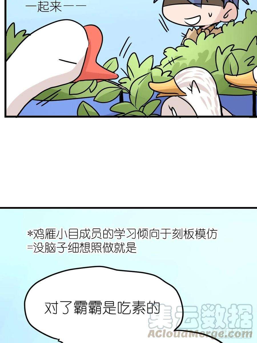 进化之基事业篇II：鸭鸭的奇妙冒险·中