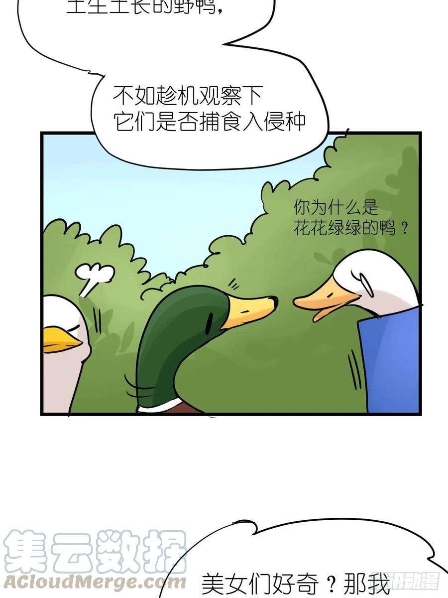 进化之基事业篇II：鸭鸭的奇妙冒险·下