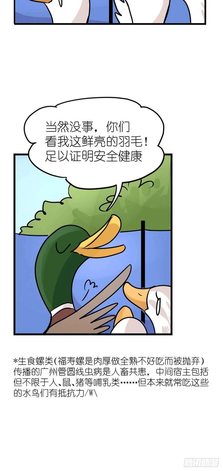 进化之基事业篇II：鸭鸭的奇妙冒险·下