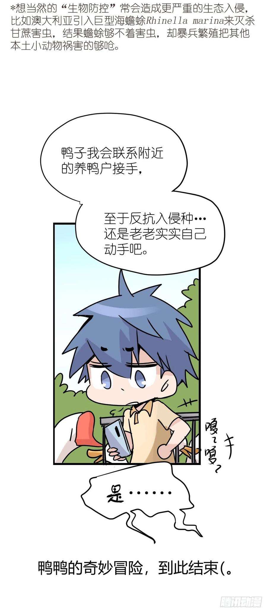 进化之基事业篇II：鸭鸭的奇妙冒险·下