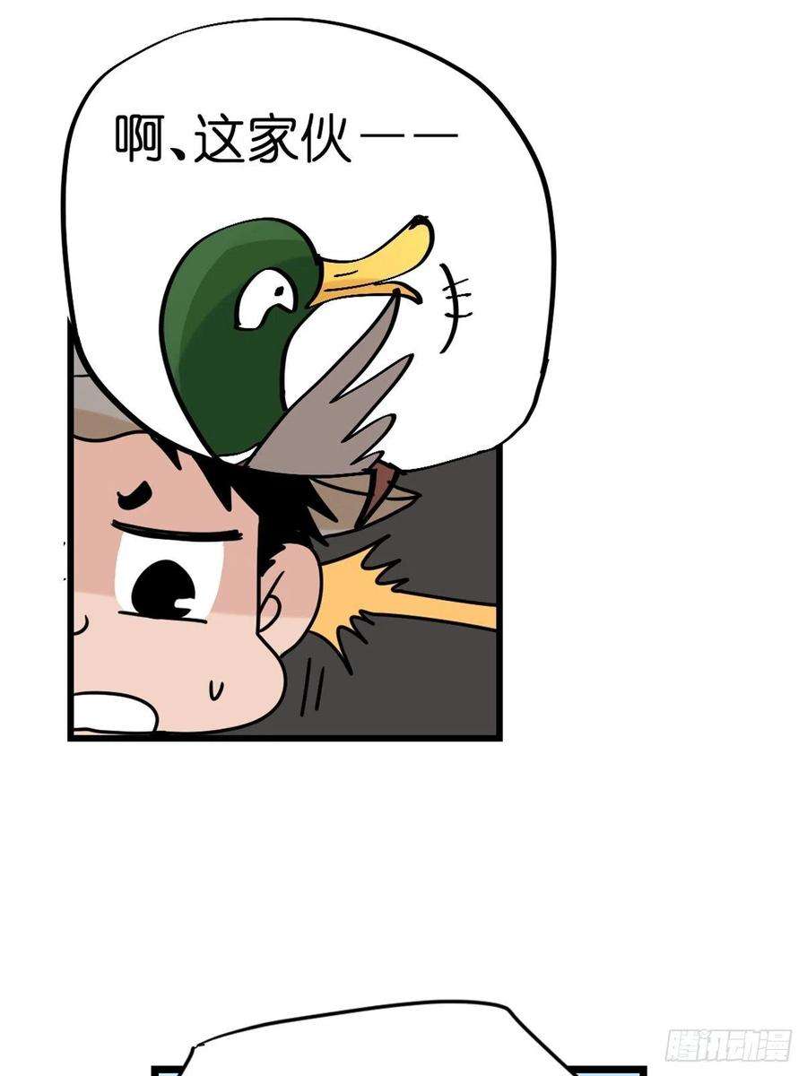 进化之基事业篇II：鸭鸭的奇妙冒险·下