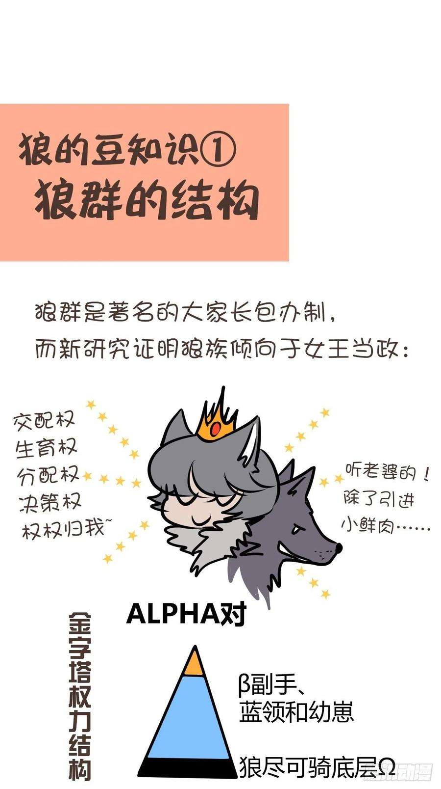 进化之基狼传奇：女主角的条件