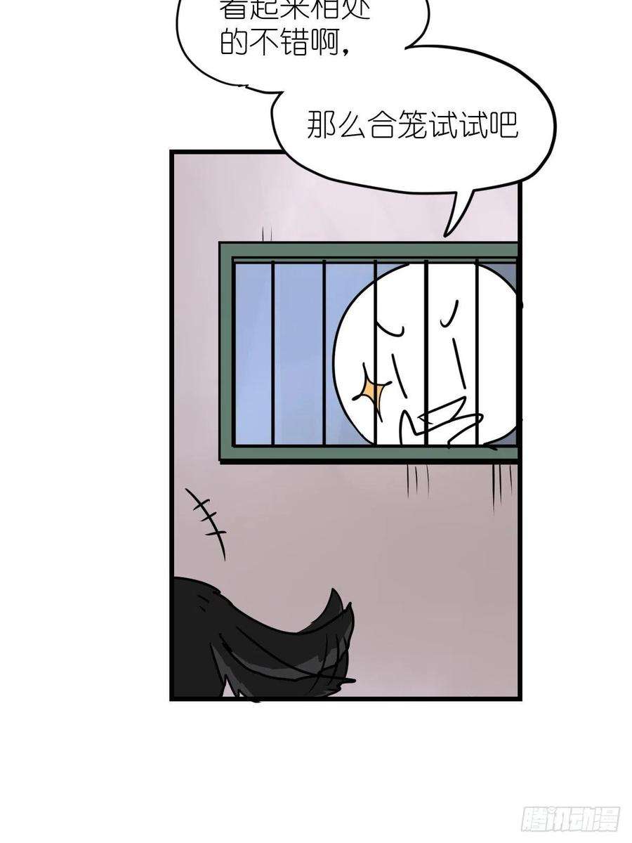 进化之基狼传奇：道路分歧