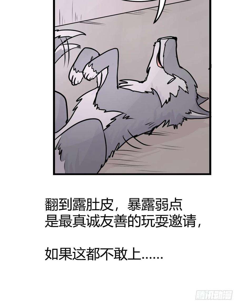 进化之基狼传奇：道路分歧