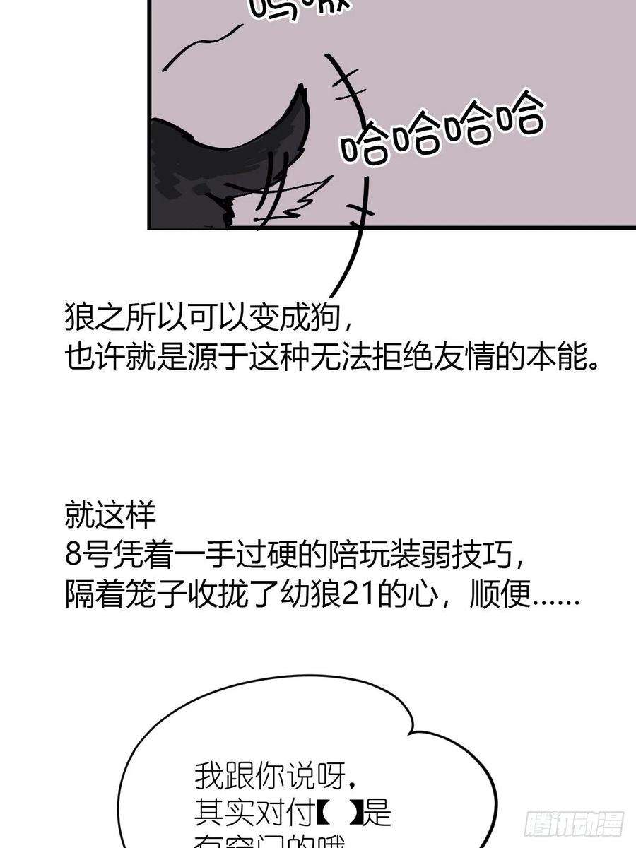 进化之基狼传奇：道路分歧