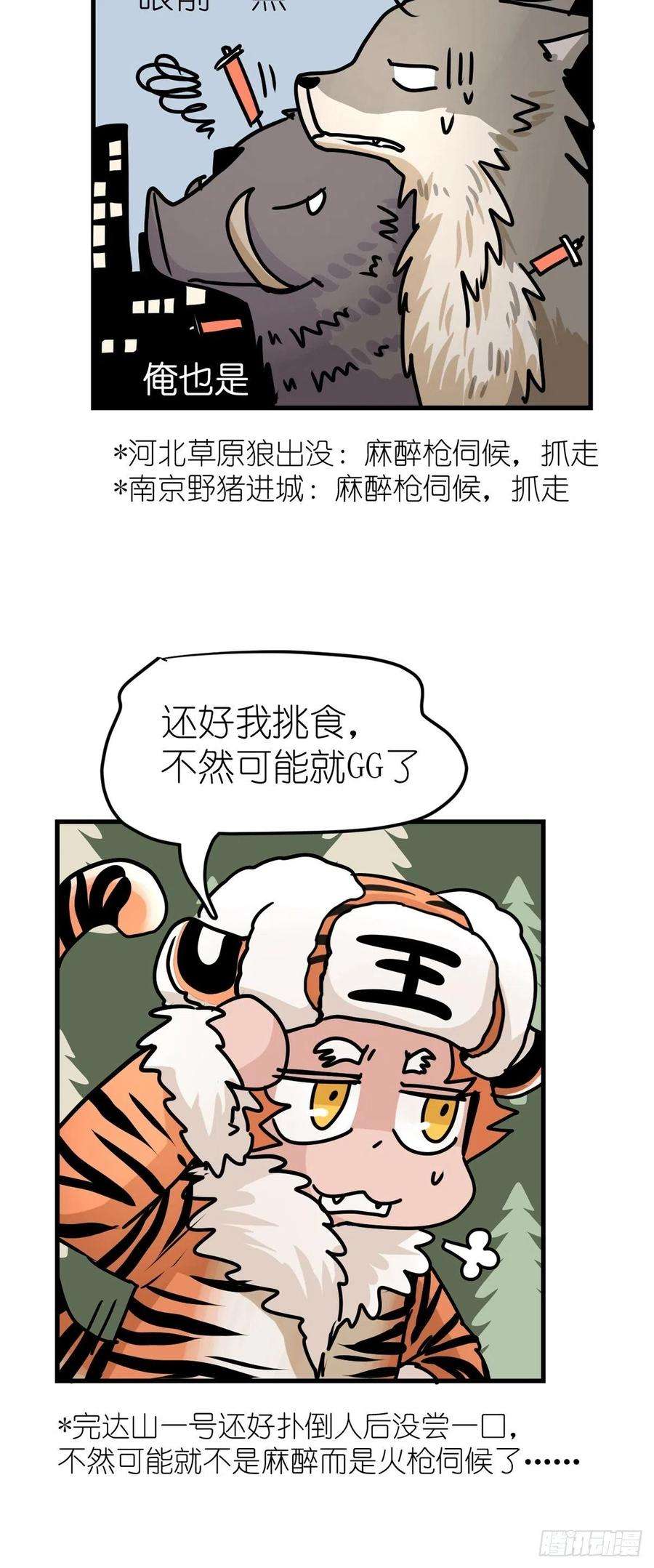 进化之基狼传奇：自然运行的力量