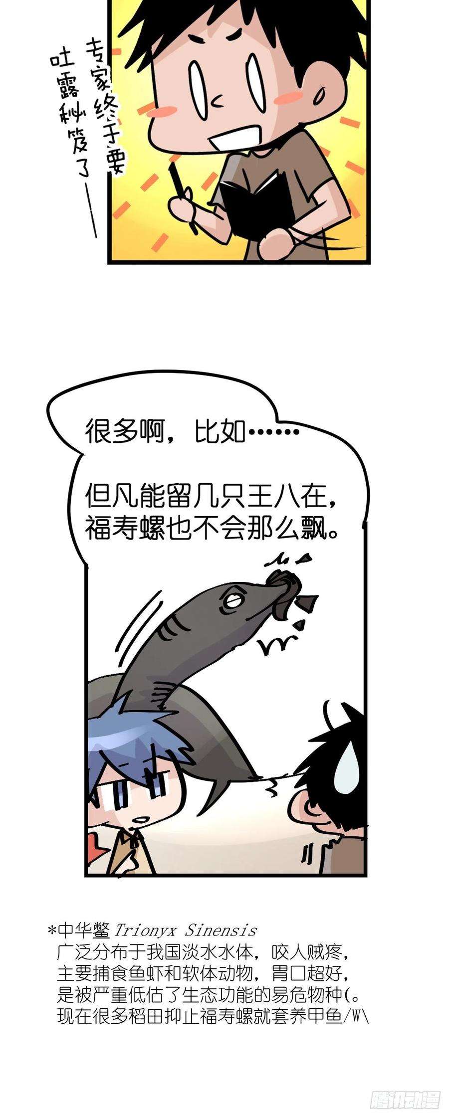 进化之基狼传奇：自然运行的力量