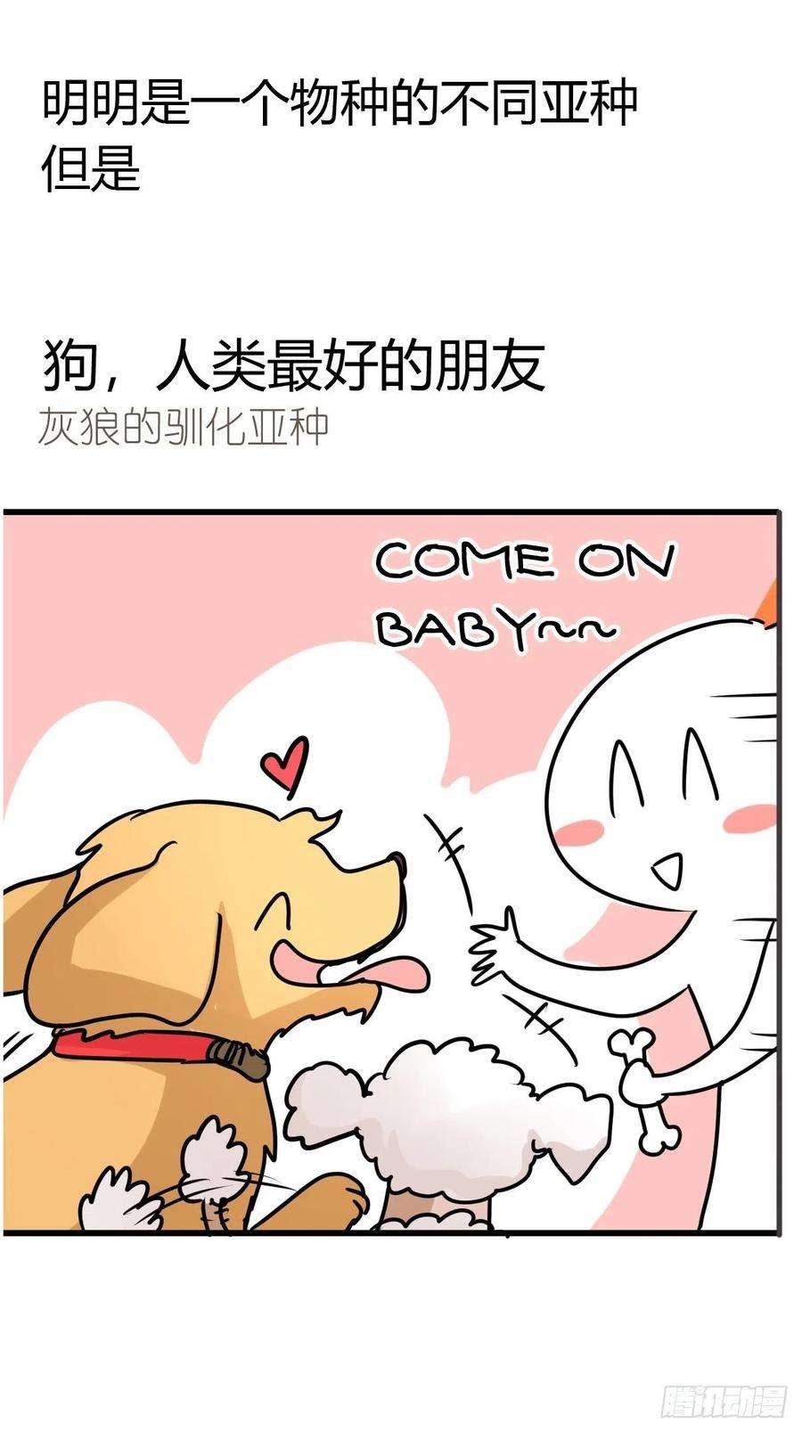 进化之基狼传奇：自然运行的力量