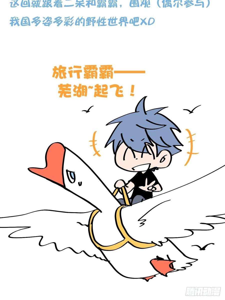 进化之基四海篇01：启程啦~
