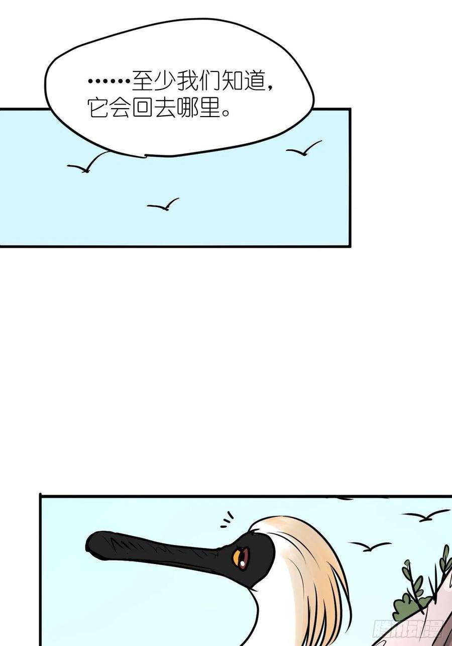 进化之基四海篇03：一波未平