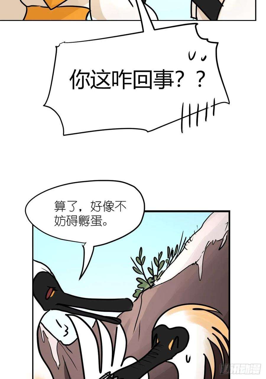 进化之基四海篇03：一波未平
