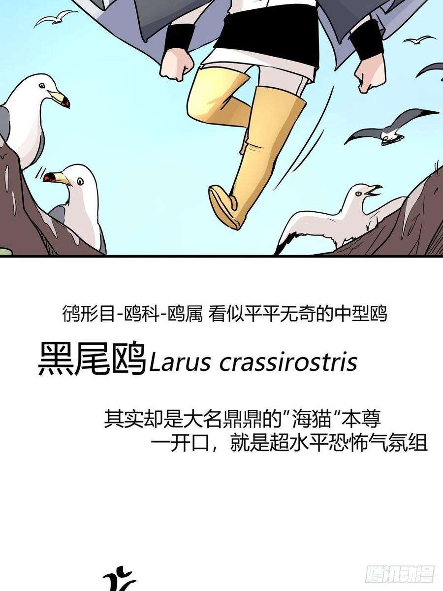 进化之基四海篇03：一波未平