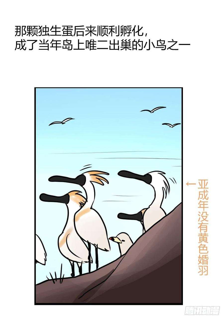 进化之基四海篇03：一波未平
