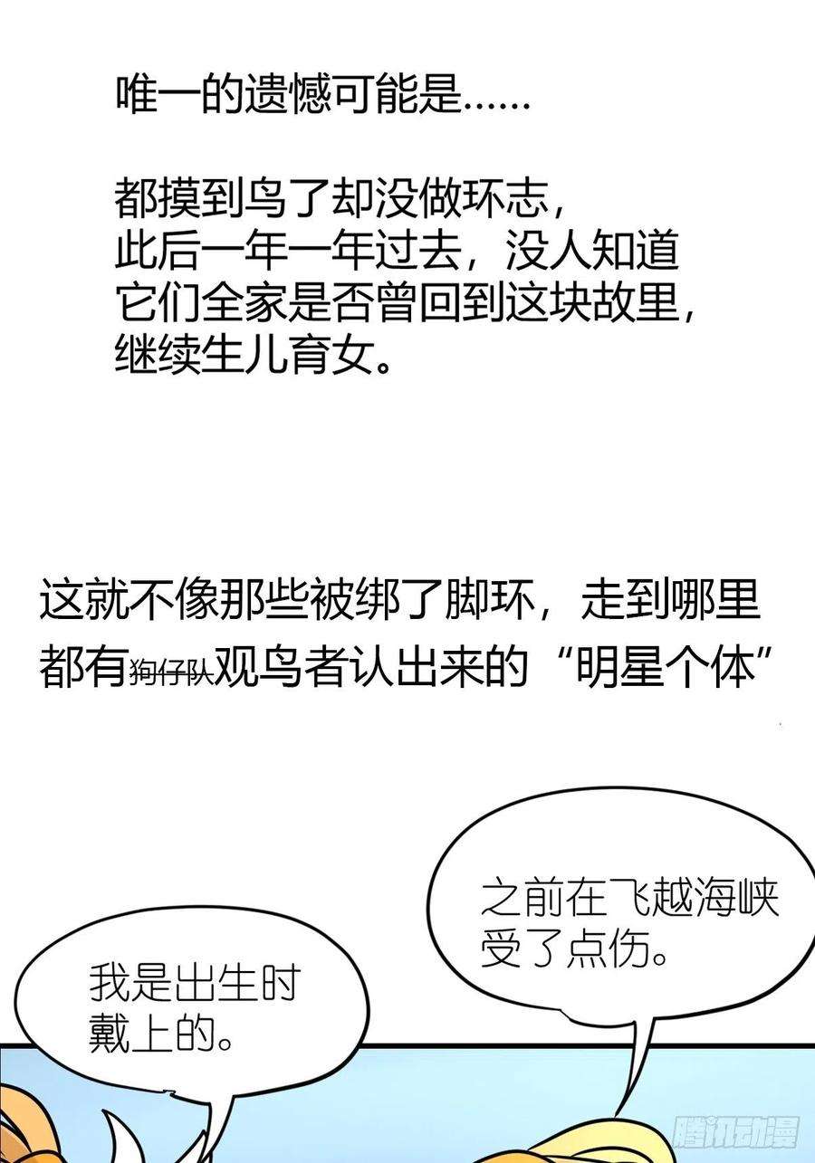 进化之基四海篇03：一波未平