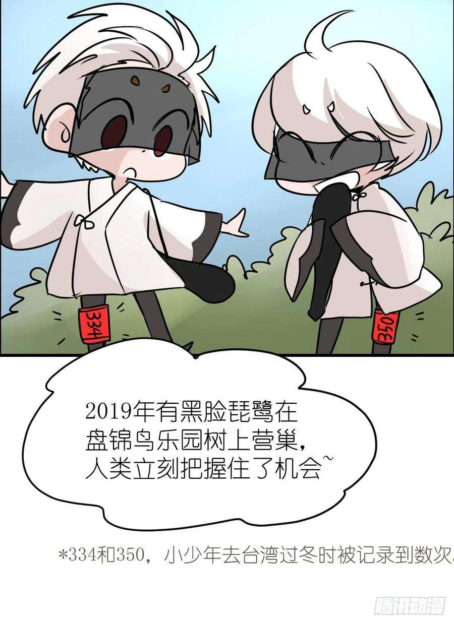 进化之基四海篇03：一波未平