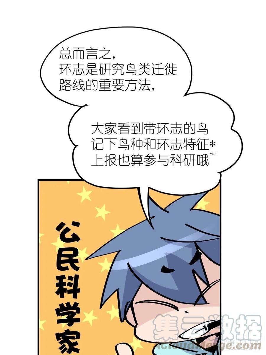 进化之基四海篇03：一波未平