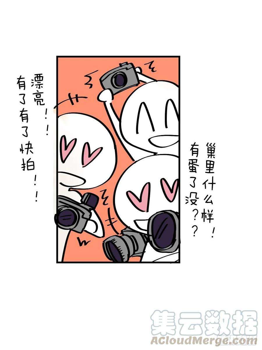 进化之基四海篇03：一波未平