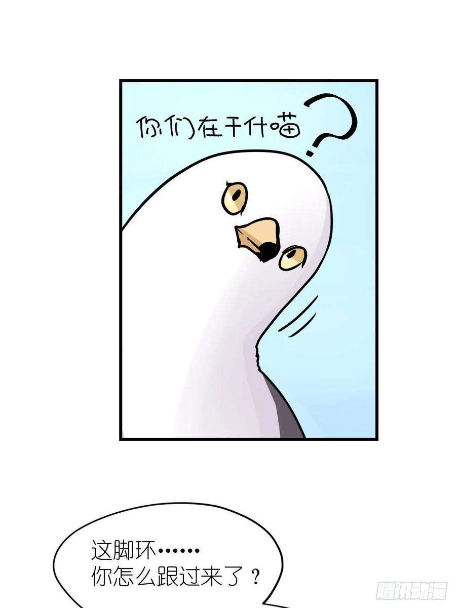 进化之基四海篇06：野生混混的生存哲学