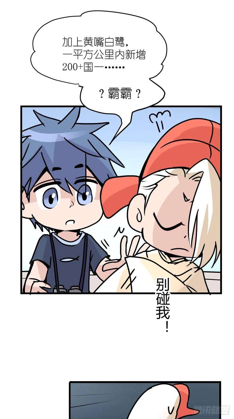 进化之基四海篇07：新卡解锁！