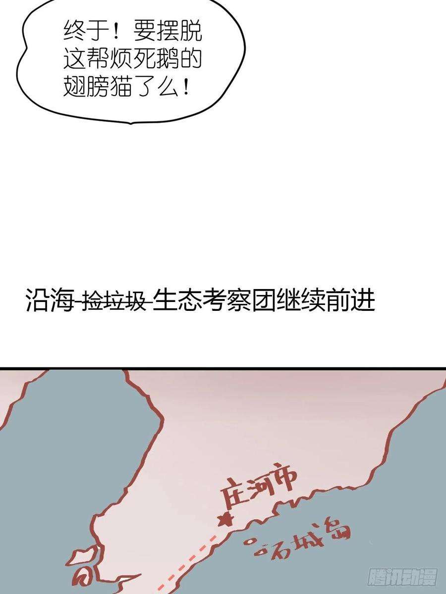 进化之基四海篇07：新卡解锁！