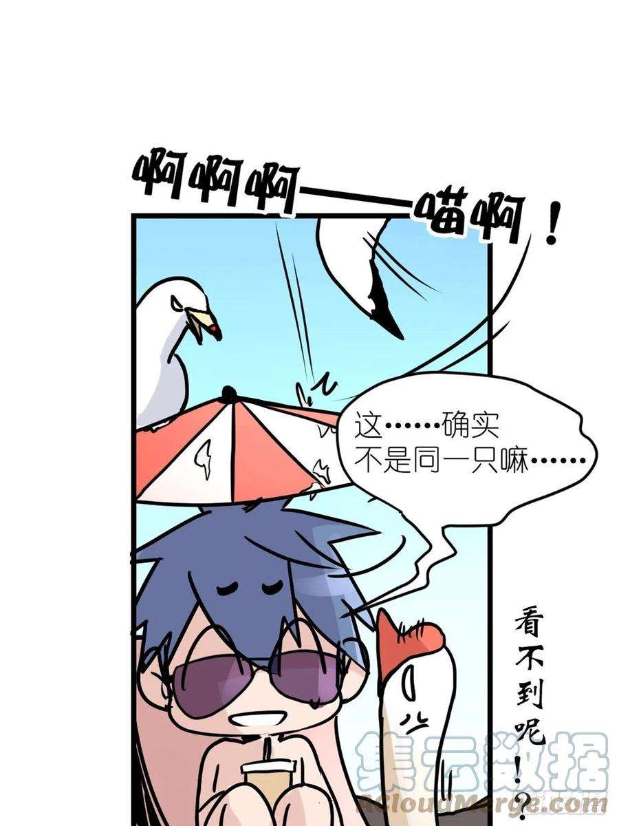 进化之基四海篇07：新卡解锁！