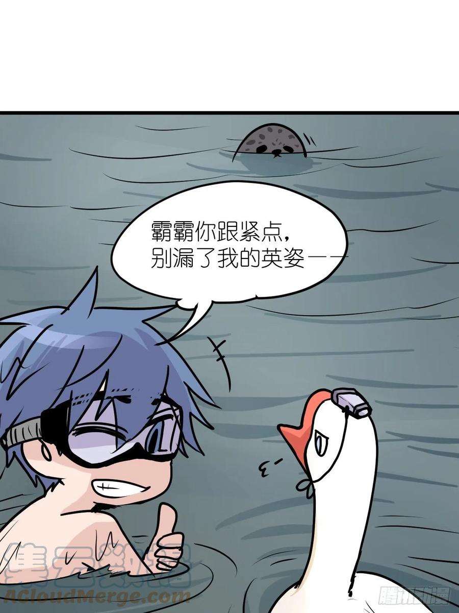 进化之基四海篇07：新卡解锁！