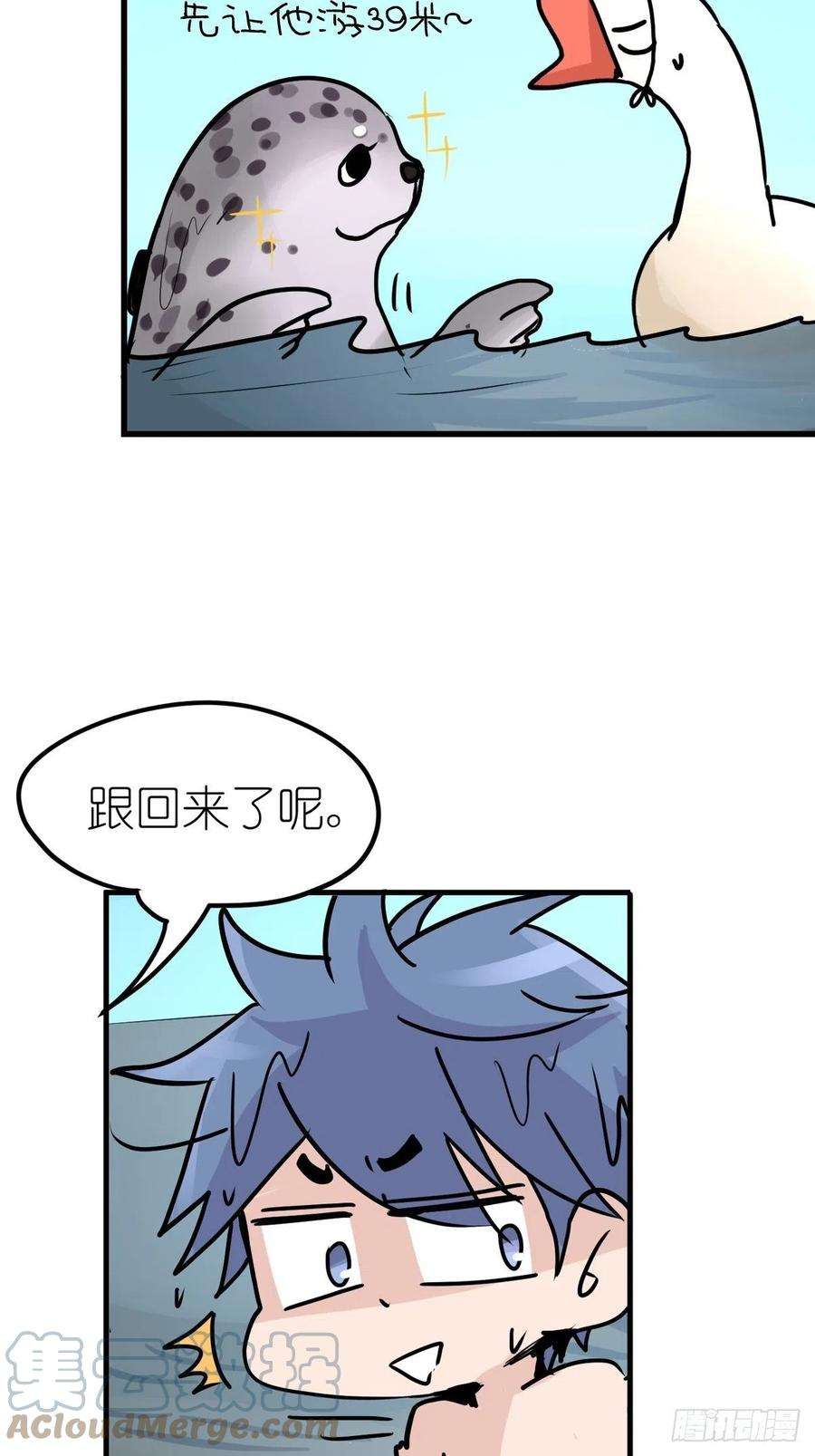 进化之基四海篇07：新卡解锁！