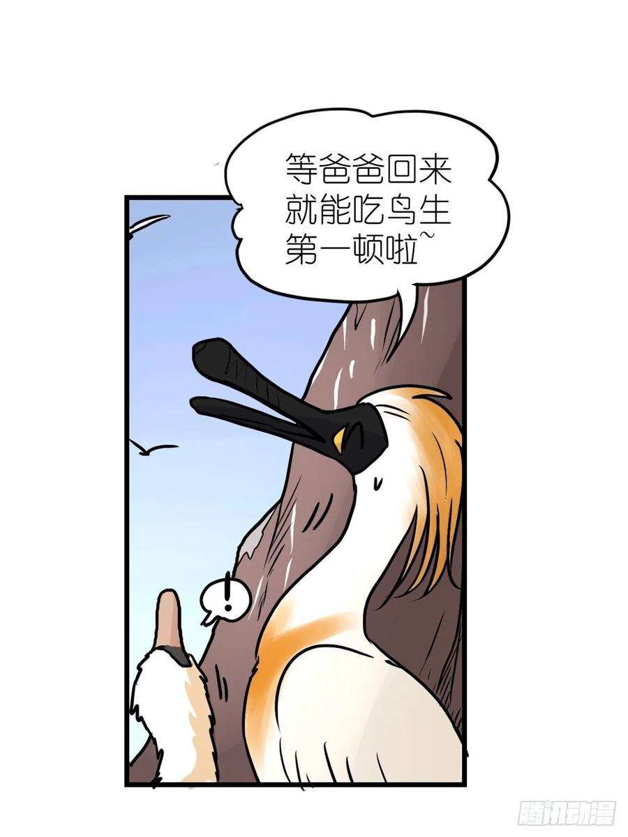 进化之基四海篇07：新卡解锁！