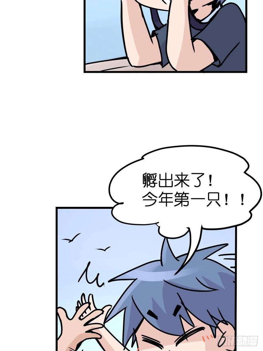 进化之基四海篇07：新卡解锁！