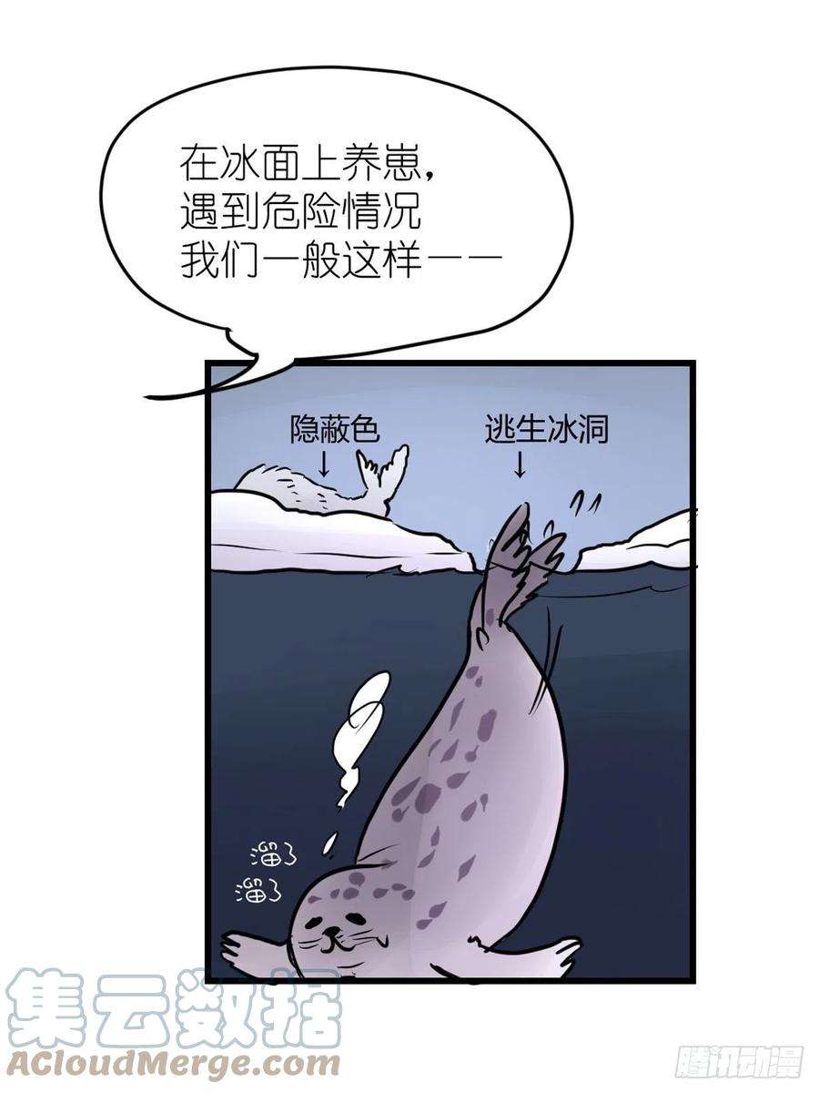 进化之基四海篇08：海豹豹的奇幻漂流1
