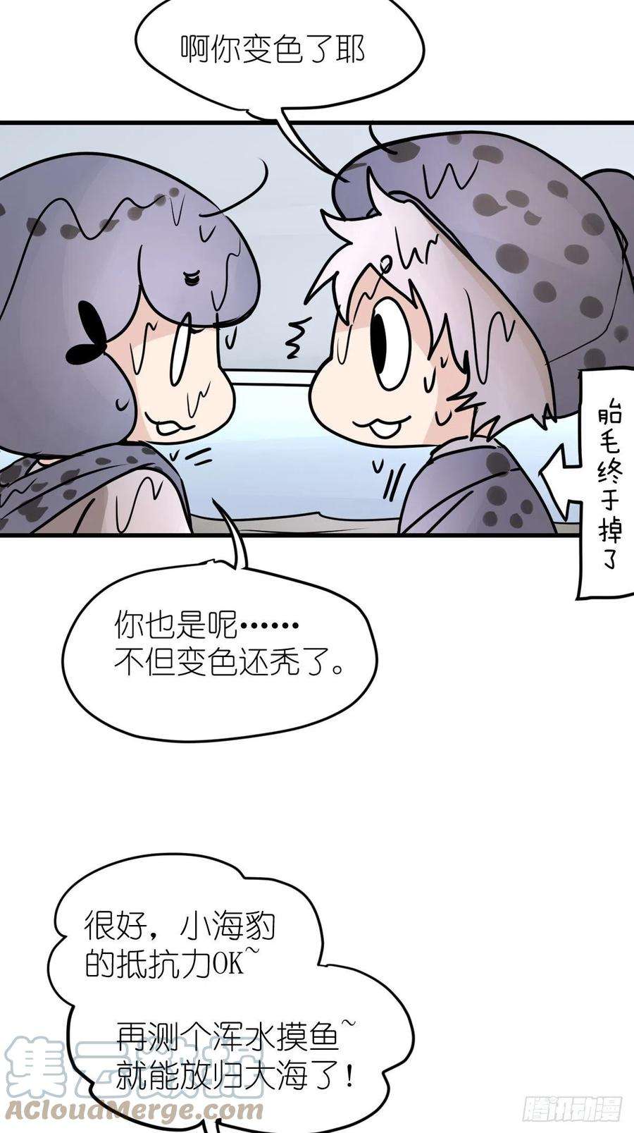 进化之基四海篇10：海豹豹的奇幻漂流3