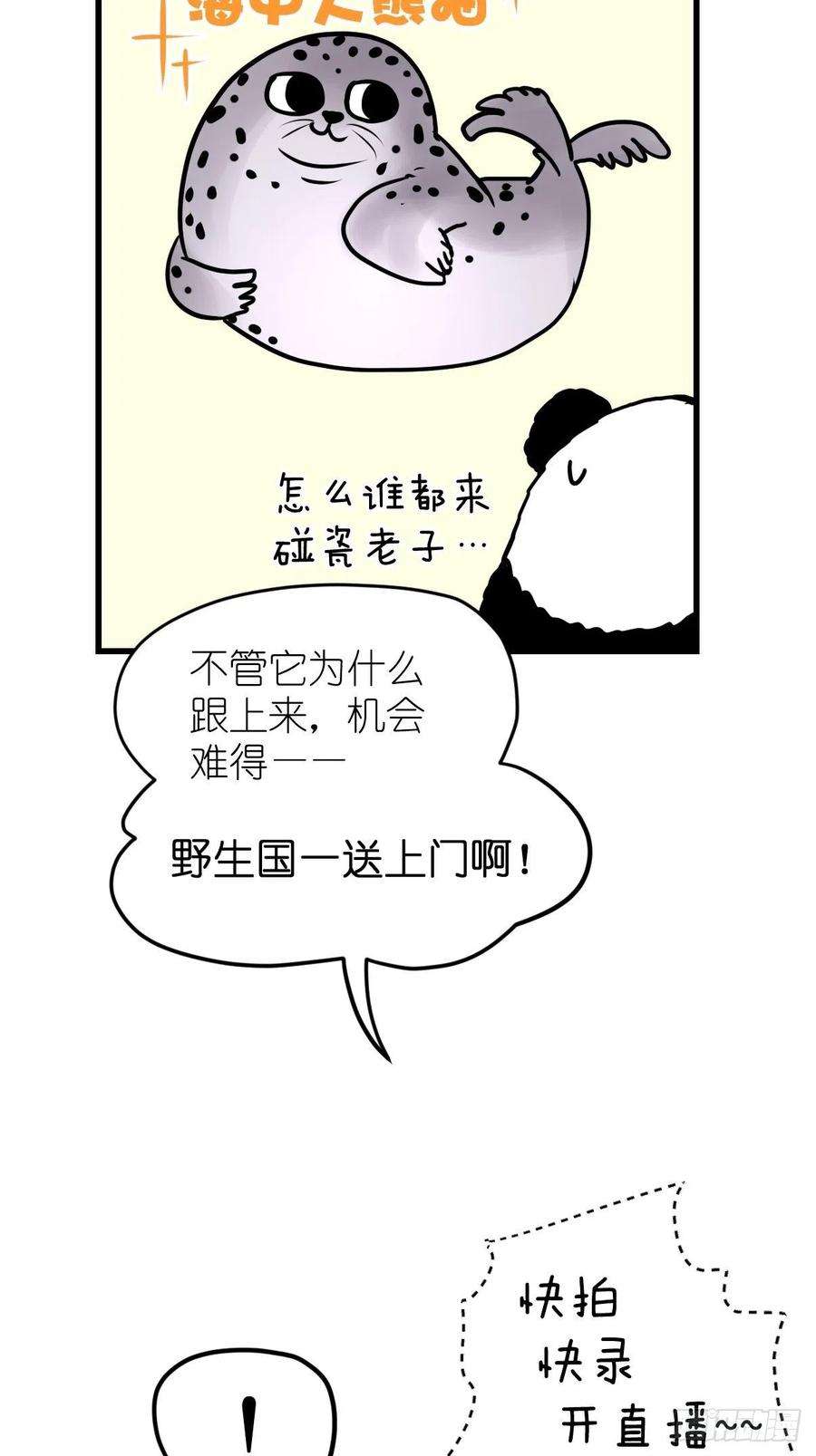 进化之基四海篇10：海豹豹的奇幻漂流3