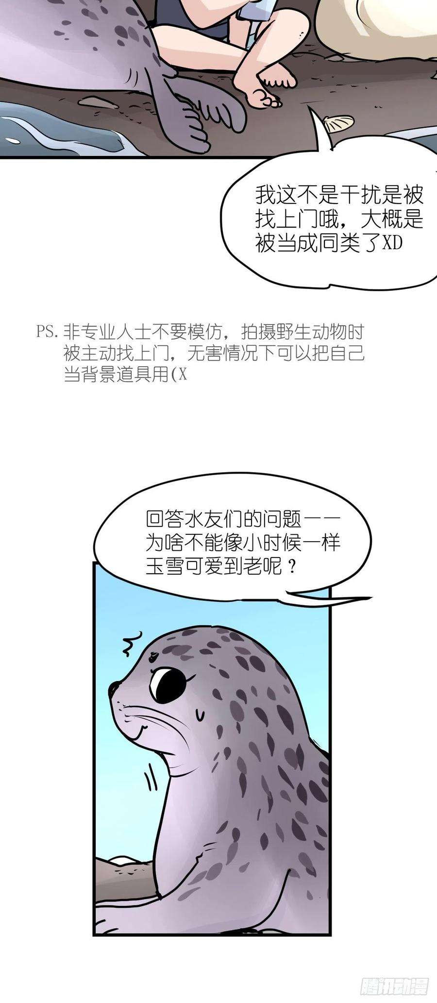 进化之基四海篇10：海豹豹的奇幻漂流3