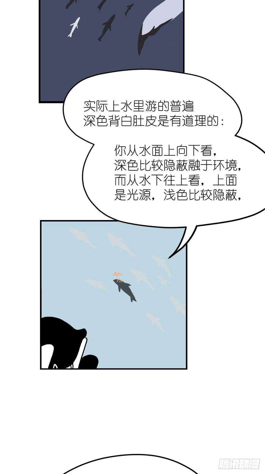 进化之基四海篇10：海豹豹的奇幻漂流3