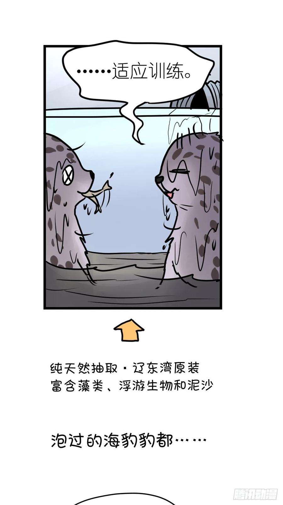 进化之基四海篇10：海豹豹的奇幻漂流3